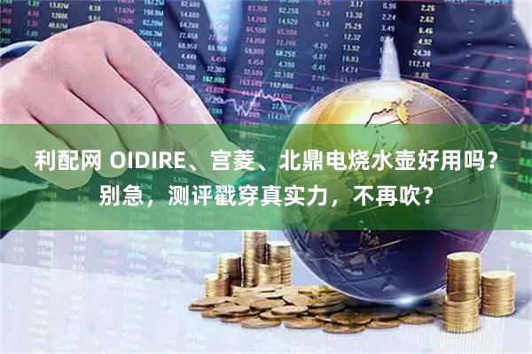 利配网 OIDIRE、宫菱、北鼎电烧水壶好用吗？别急，测评戳穿真实力，不再吹？